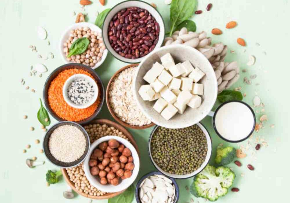 Top Vegetarian Protein Sources on wellhealthorganic.com