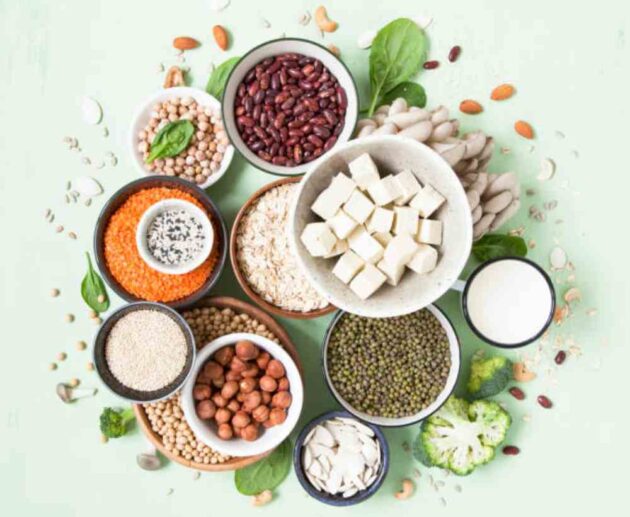 Top Vegetarian Protein Sources on wellhealthorganic.com