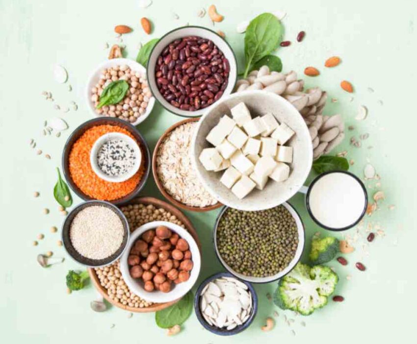 Top Vegetarian Protein Sources on wellhealthorganic.com