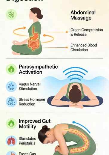 yoga poses for digestion