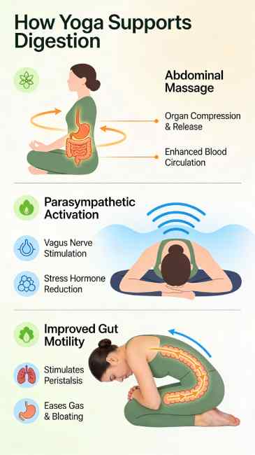 yoga poses for digestion
